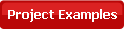 project examples